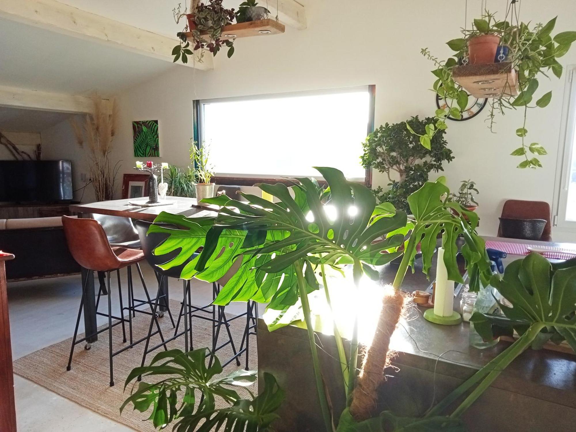 Logement De Charme Avec Piscine Et Jacuzzi Carnoules  Eksteriør bilde